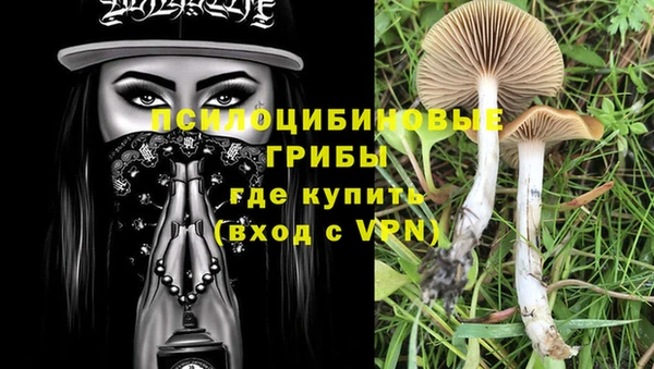 меф Армянск