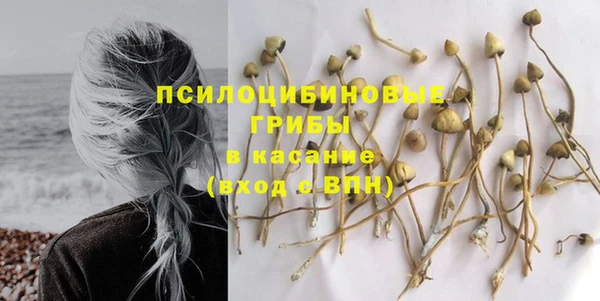 прущие крисы Аркадак