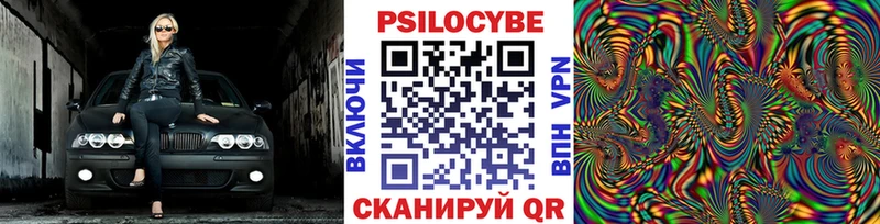 blacksprut как зайти  Дмитриев  Псилоцибиновые грибы мухоморы 